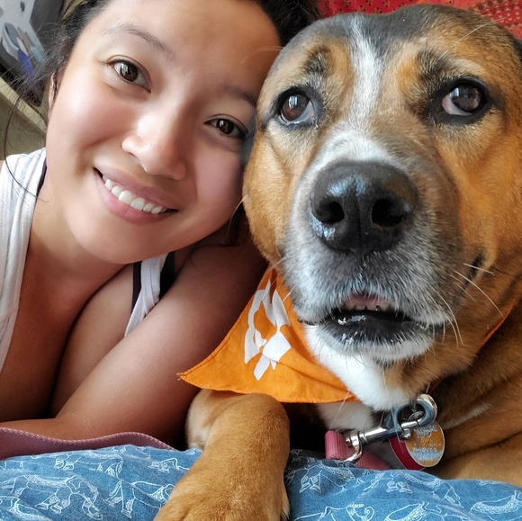 Meet your Posher, Priscilla - Picture 2 of 4